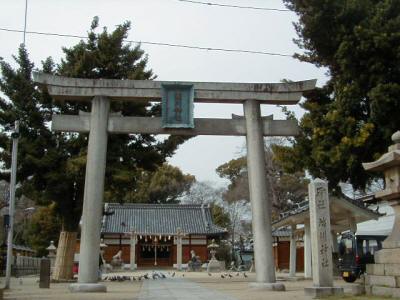 shibukawa