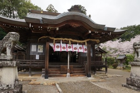 adaoka