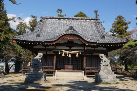 kanezakura