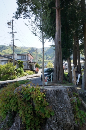 narayaki