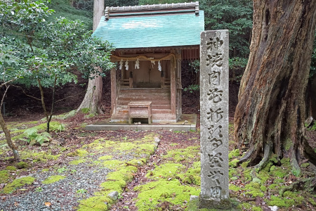 shinmei_fukui