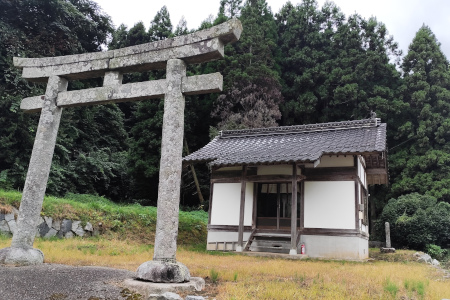 yokomi