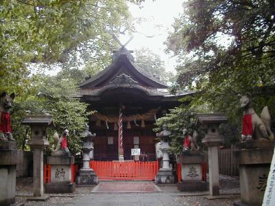 kuzunohainari