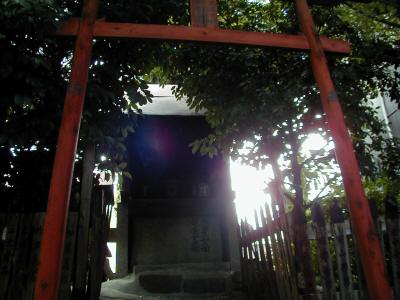 matsunokidaimyoujin