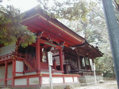 nyuukouyadaimyoujin