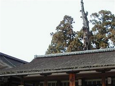 kasugataisha