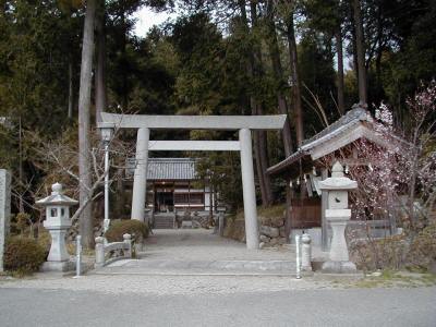 torisaka