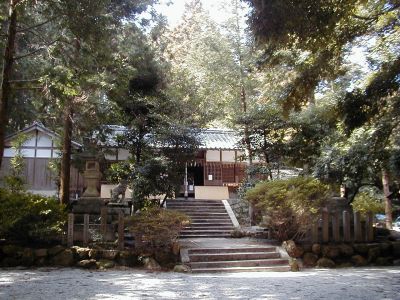 taimayamaguchi