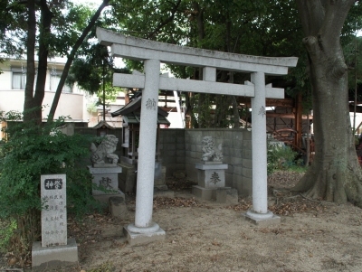 kasuga_isono