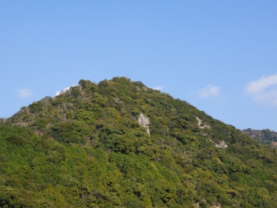 tadononyu_iwakura