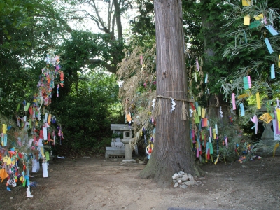 tanabata